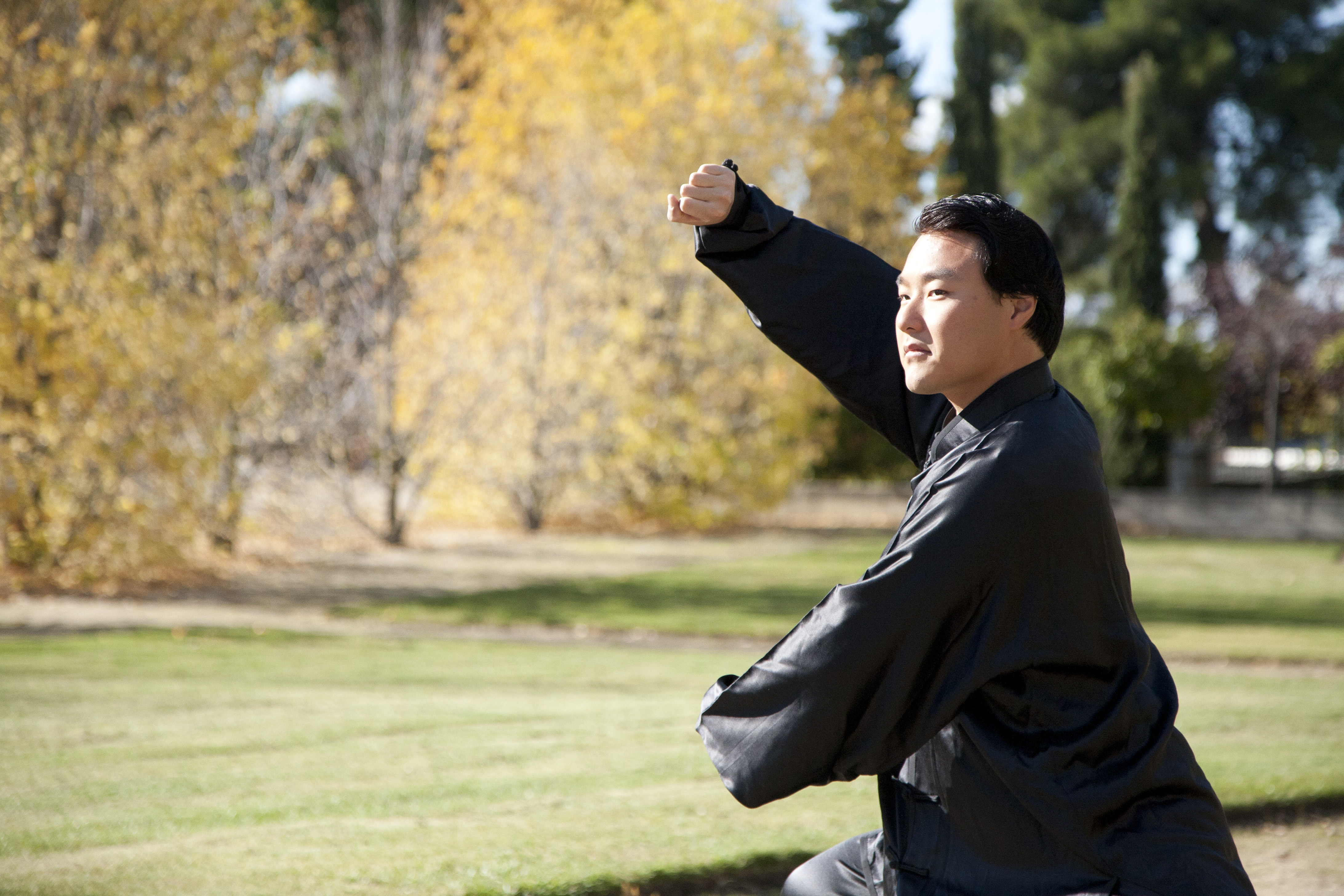 Maestro Xioda Liu en postura del tigre